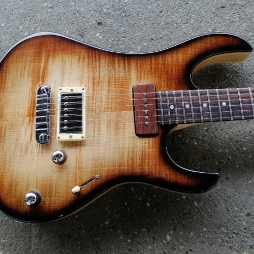 6string Custom Guitar id 427 Siggi Braun Fine Young Guitars